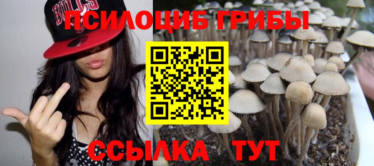 Сафоново  Галлюциногенные грибы GOLDEN TEACHER  даркнет сайт  Галлюциногенные грибы Magic Shrooms  Вход с VPN 
